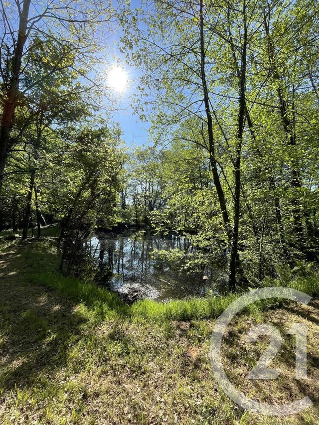 maison à vendre - 7 pièces - 138.0 m2 - LAGORCE - 33 - AQUITAINE - Century 21 G&B Immobilier