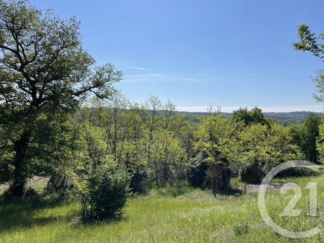 maison à vendre - 7 pièces - 138.0 m2 - LAGORCE - 33 - AQUITAINE - Century 21 G&B Immobilier