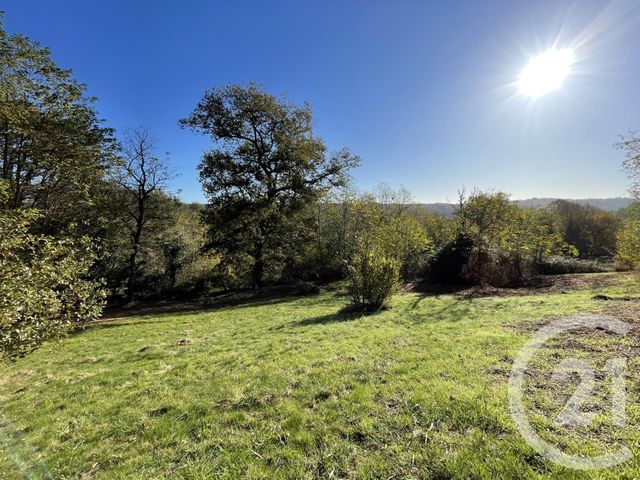 maison à vendre - 7 pièces - 138.0 m2 - LAGORCE - 33 - AQUITAINE - Century 21 G&B Immobilier