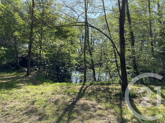 maison à vendre - 7 pièces - 138.0 m2 - LAGORCE - 33 - AQUITAINE - Century 21 G&B Immobilier