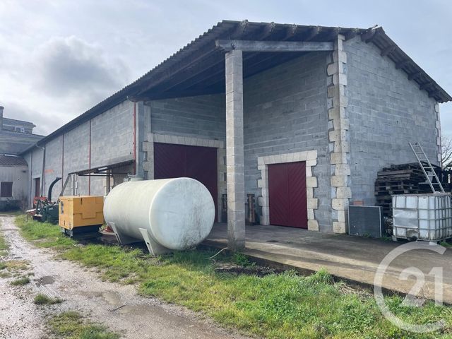 terrain à vendre - 95274.0 m2 - LUSSAC - 33 - AQUITAINE - Century 21 G&B Immobilier